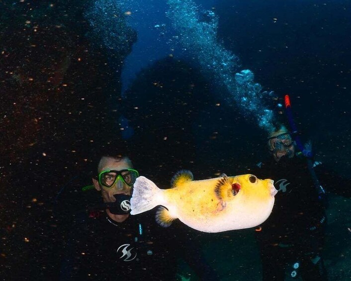 Picture 1 for Activity Zihuatanejo: Moonlit Dive at Las Gatas