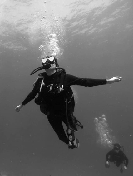Picture 3 for Activity Zihuatanejo: Moonlit Dive at Las Gatas