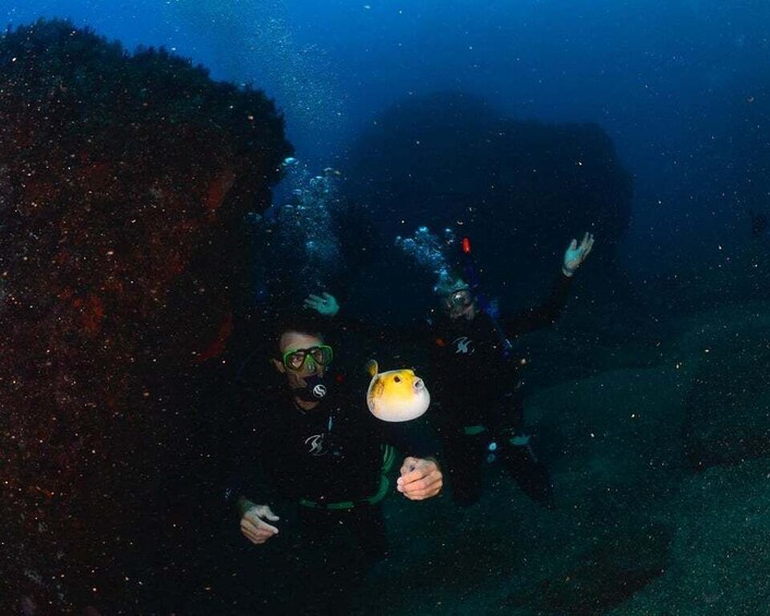 Picture 2 for Activity Zihuatanejo: Moonlit Dive at Las Gatas