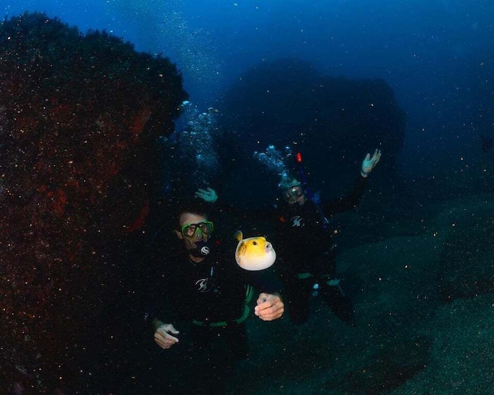 Picture 2 for Activity Zihuatanejo: Moonlit Dive at Las Gatas
