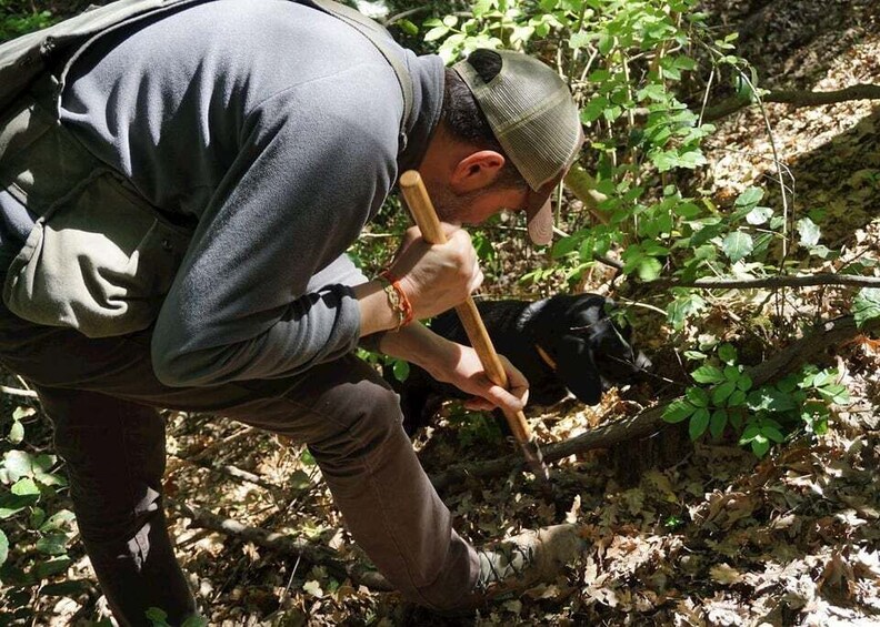 Picture 4 for Activity Truffle Hunting, Cooking Class & Truffle Lunch in Tuscany