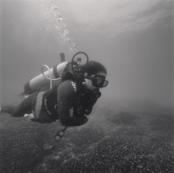 Picture 2 for Activity Ixtapa: Nighttime Underwater Exploration at Piedra Solitaria