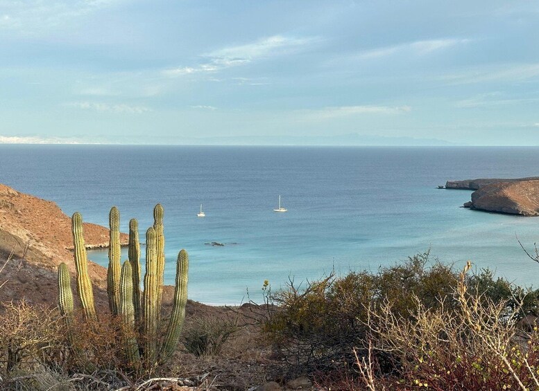 Picture 5 for Activity La Paz: Deluxe Yacht Adventure with Paddleboarding