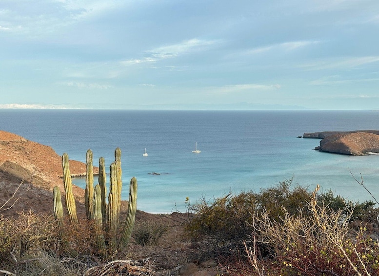 Picture 5 for Activity La Paz: Deluxe Yacht Adventure with Paddleboarding