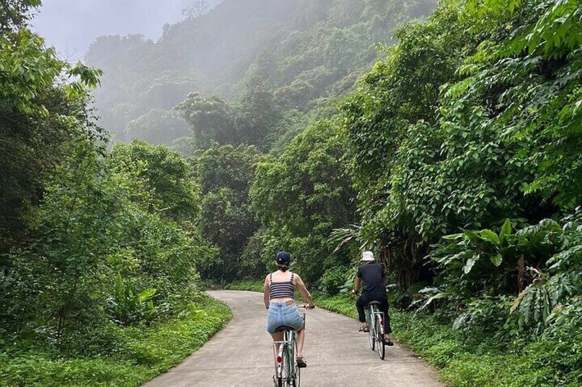 2 Day Private Tour in Tam Coc–Cuc Phuong-Van Long Nature Reserve