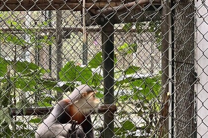 2 Day Private Tour in Tam Coc–Cuc Phuong-Van Long Nature Reserve