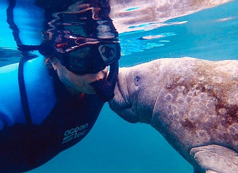 Picture 3 for Activity Manatee Snorkel Tour from American Pro Diving Center