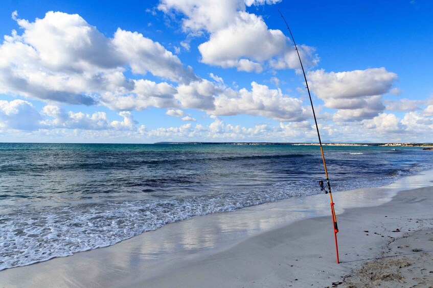 Picture 2 for Activity Baja: Adventure Shore Fishing - Explore La Ventana on ATV