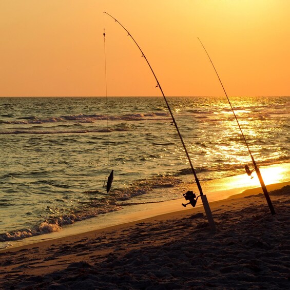 Picture 6 for Activity Baja: Adventure Shore Fishing - Explore La Ventana on ATV