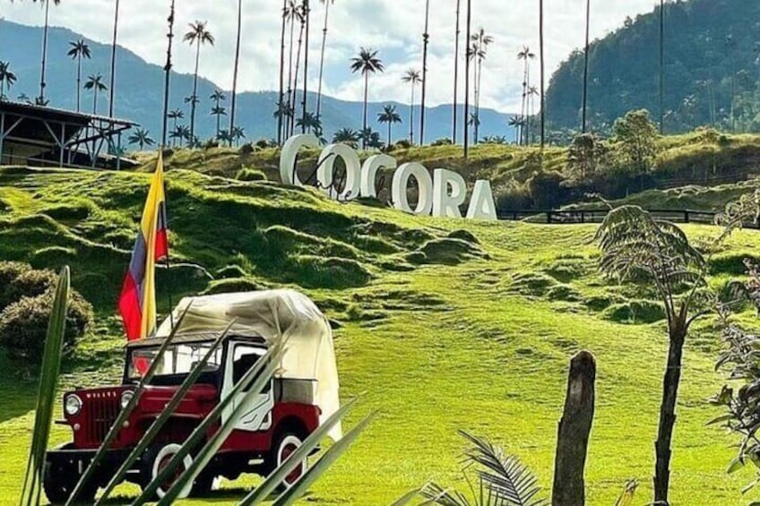 Private Tour in Cocora Valley plus Horseback Riding