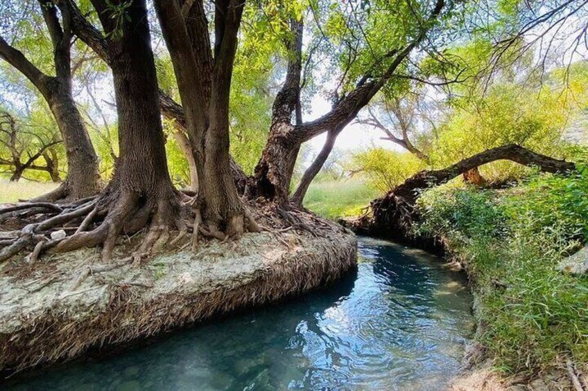 Tour to Bustamante Caves with Transfer Guide and Tickets
