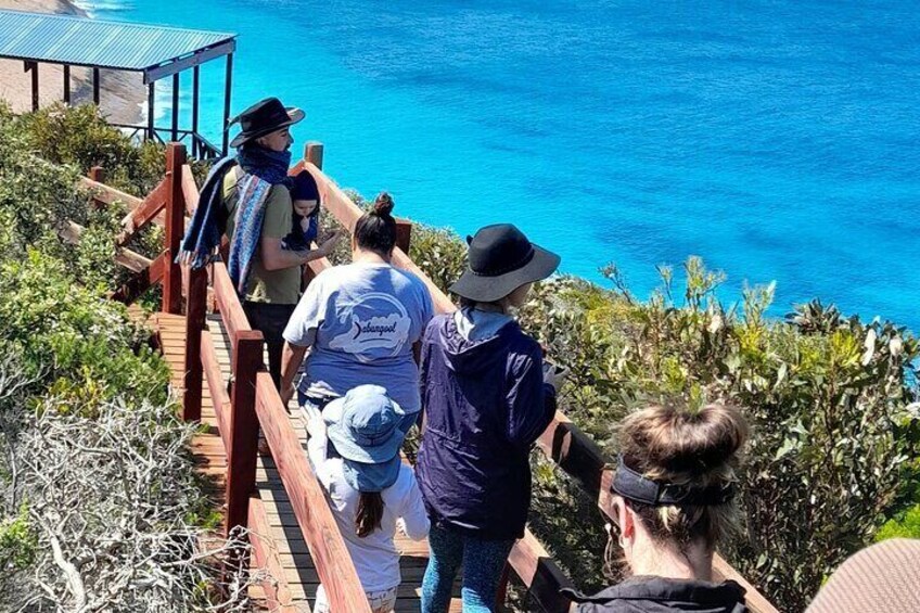 walking down the steps at Dempster's Head tours will come out to the Table and chairs to have a rest and look at more plants before venturing on.