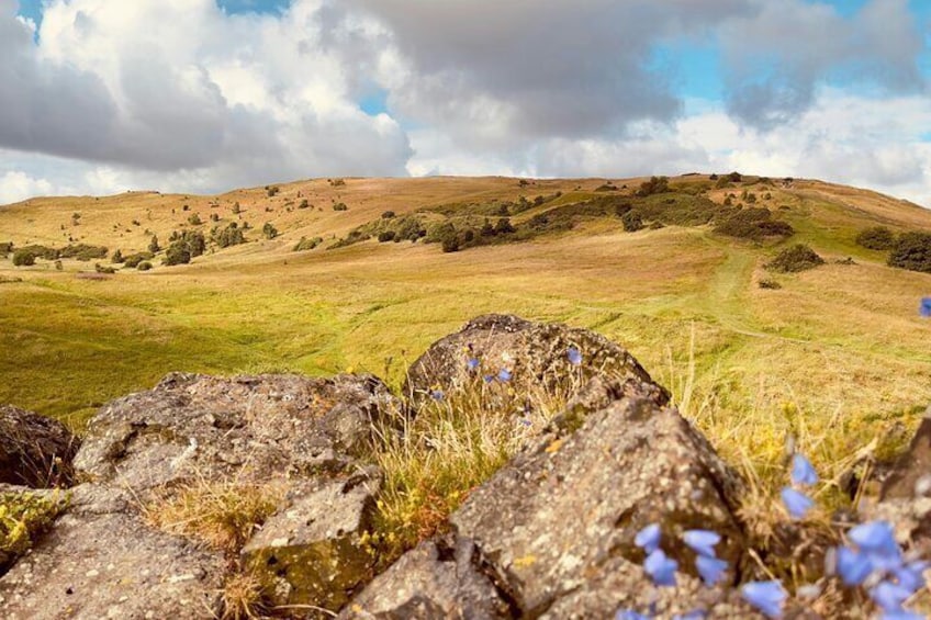 Small-Group Guided Expedition of Arthur's Seat and Holyrood Park