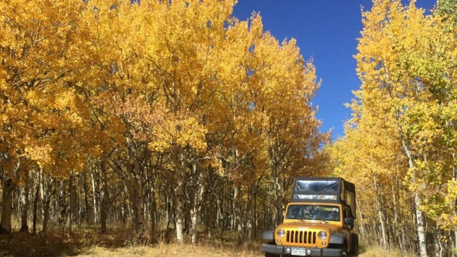 Colorado Jeep Tours - Gold Belt Tour