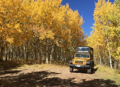 Colorado Jeep Tours - Gold Belt Tour