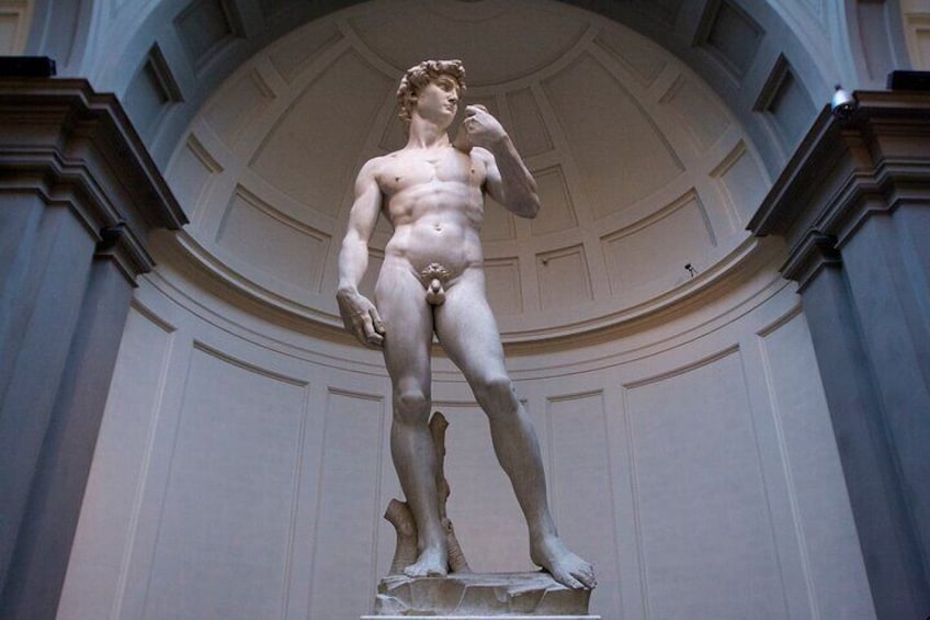 Accademia Gallery Priority Entry Ticket