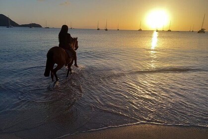 2 Hour Horseback Riding Sunset Tour with Dore's Riding Stable