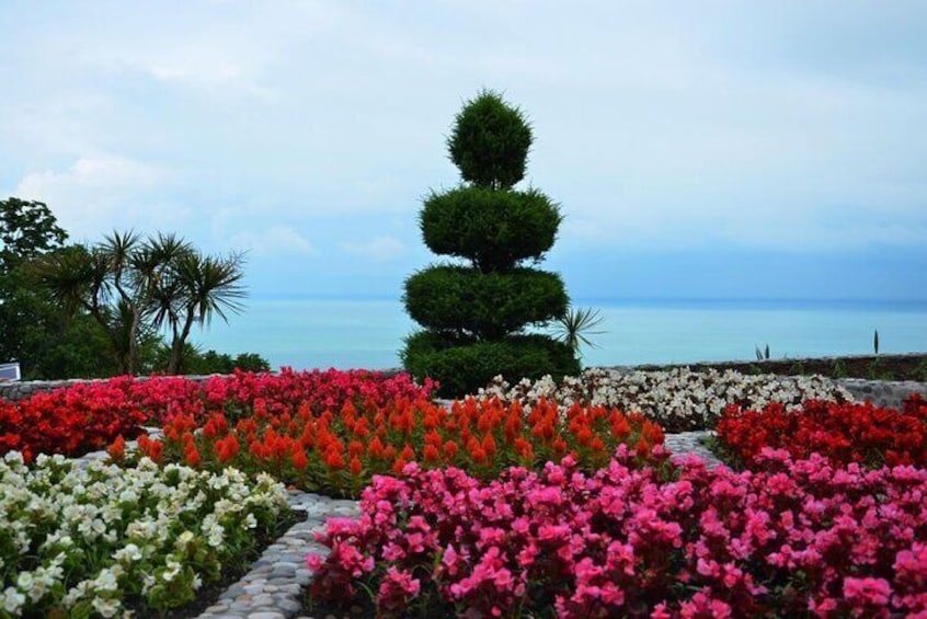 Batumi City Botanical Garden Petra Fortress From Kutaisi