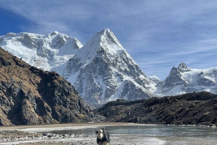 17 Days Kanchenjunga Base Camp Trek from Kathmandu