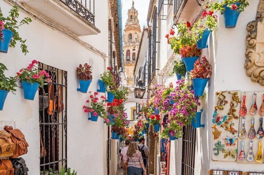 Tour in Cordoba Mosque, Cathedral and Jewish Quarter for 8 People