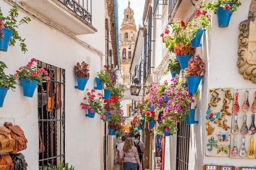 Tour in Cordoba Mosque, Cathedral and Jewish Quarter for 8 People