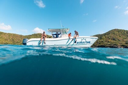 Private Sunset Snorkel Cruise fra St. John eller St. Thomas