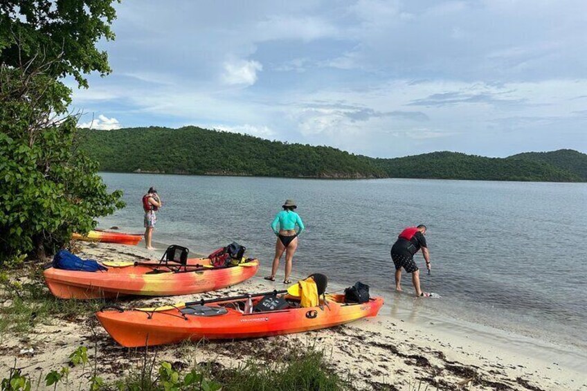 3 Hour Kayak and Snorkel with Turtles