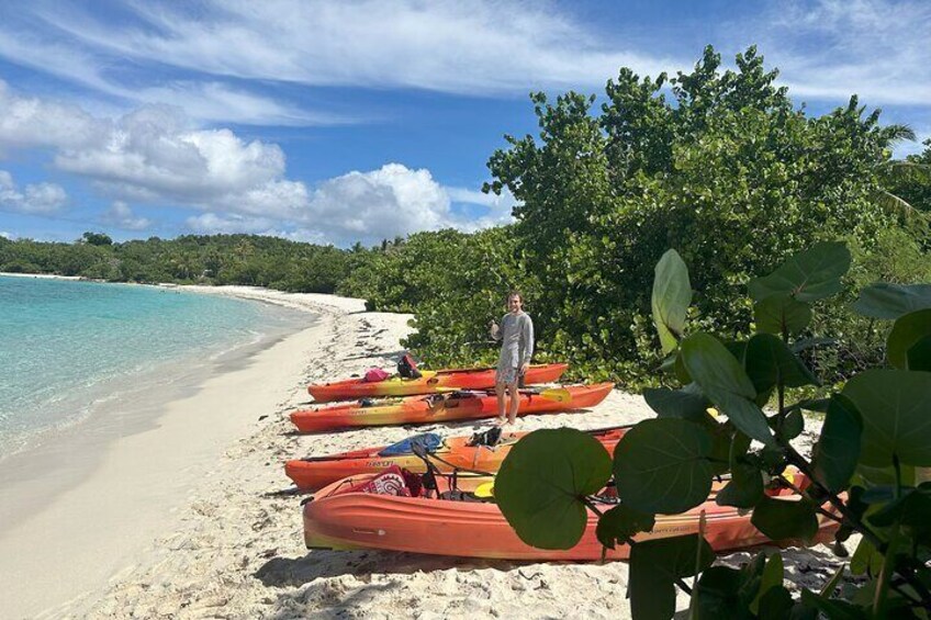 3 Hour Kayak and Snorkel with Turtles