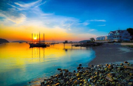 Bar Harbour: Acadia National Park Tour with Lobster Roll