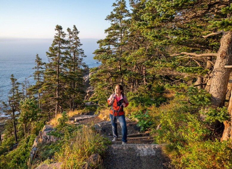 Picture 6 for Activity Bar Harbor: Acadia National Park Tour with Lobster Roll