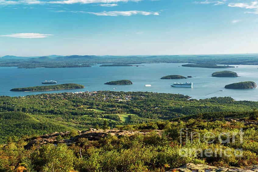 Picture 5 for Activity Bar Harbor: Acadia National Park Tour with Lobster Roll