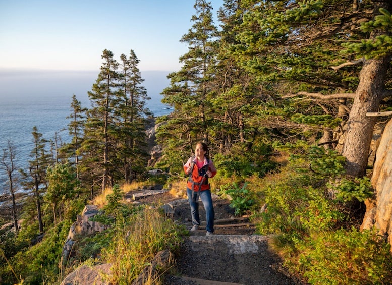Picture 6 for Activity Bar Harbor: Acadia National Park Tour with Lobster Roll