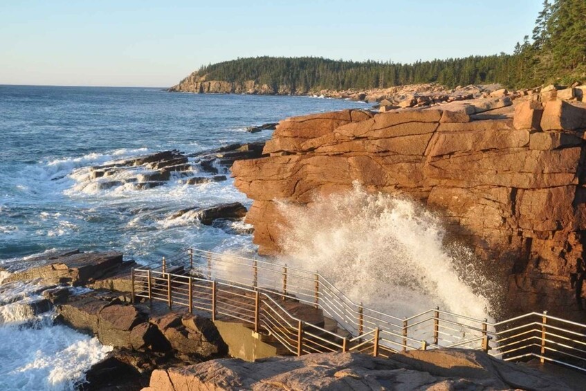 Picture 2 for Activity Bar Harbor: Acadia National Park Tour with Lobster Roll