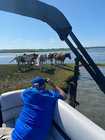 From Chincoteague: Pony and Wildlife Boat Tour