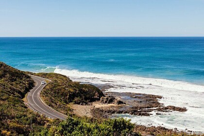 Gran recorrido inverso por Ocean Road – Evite multitudes, más paradas
