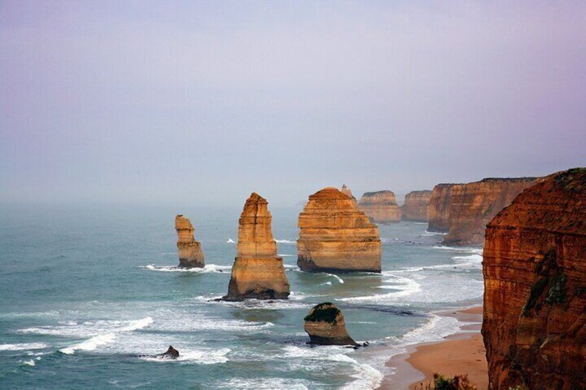 Shared Full Day Coastal Road Tour in Victoria 