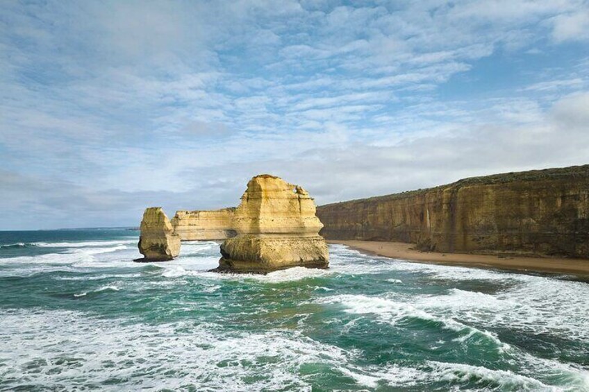 Shared Full Day Coastal Road Tour in Victoria 