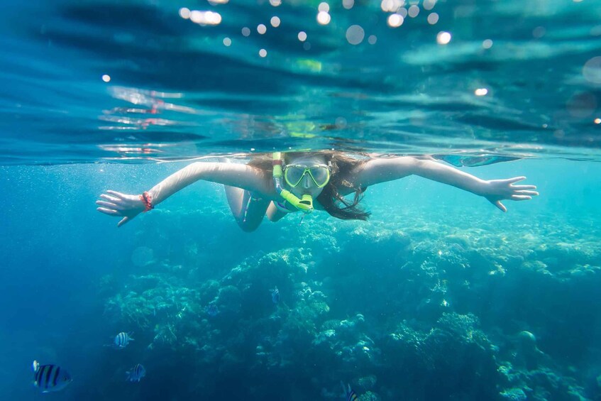 Picture 3 for Activity La Paz: Coral Farm Snorkel Tour