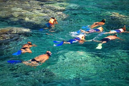 La Paz: tour de snorkel en Coral Farm