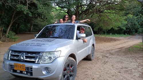 Viaje por carretera de 7 horas a la selva o al parque Tayrona con Cap. Mann...