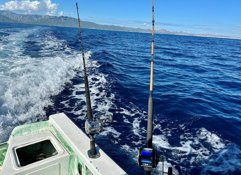 Picture 8 for Activity La Paz: Sport fishing