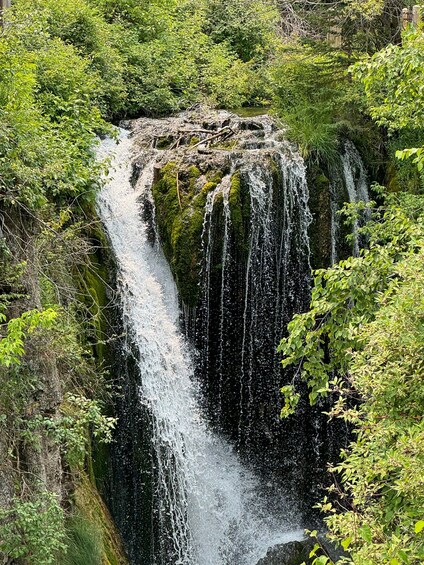 Picture 21 for Activity Rapid City: Devils Tower & Spearfish Canyon Private Tour