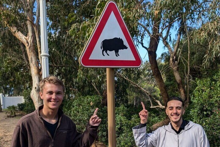 Private full Day Tour in Tangier including camel ride