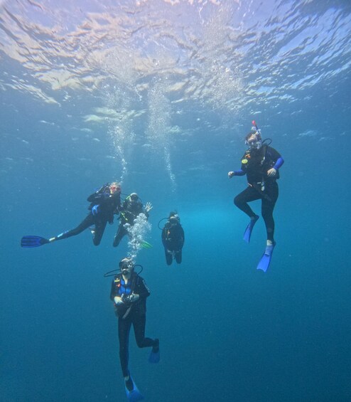 Picture 1 for Activity Ixtapa: Advance Open Water Course