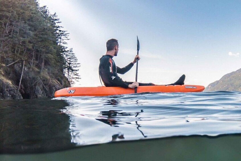 Picture 5 for Activity Vancouver: Snorkel, Kayak, and Seal Adventure Boat Tour