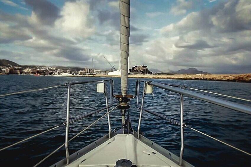 Whale & Dolphin Observation on Electric Sailing Boat in Denia