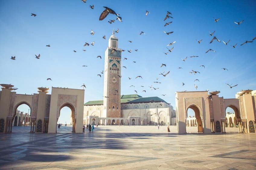 Casablanca Private City Tour including Hassan II Mosque 