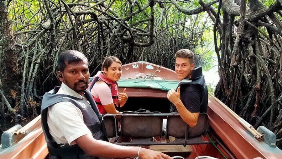 Half Day Private Exploration of the Beauty of Southern Coast