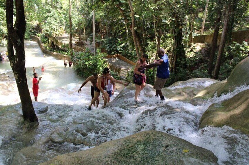 Dunns River Falls Half Day Private Tour From Falmouth Trelawny 