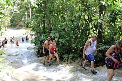 Dunns River Falls Half Day Private Tour From Falmouth Trelawny